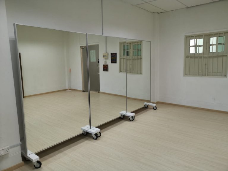 Mobile Mirror with 2 Foldable Panels